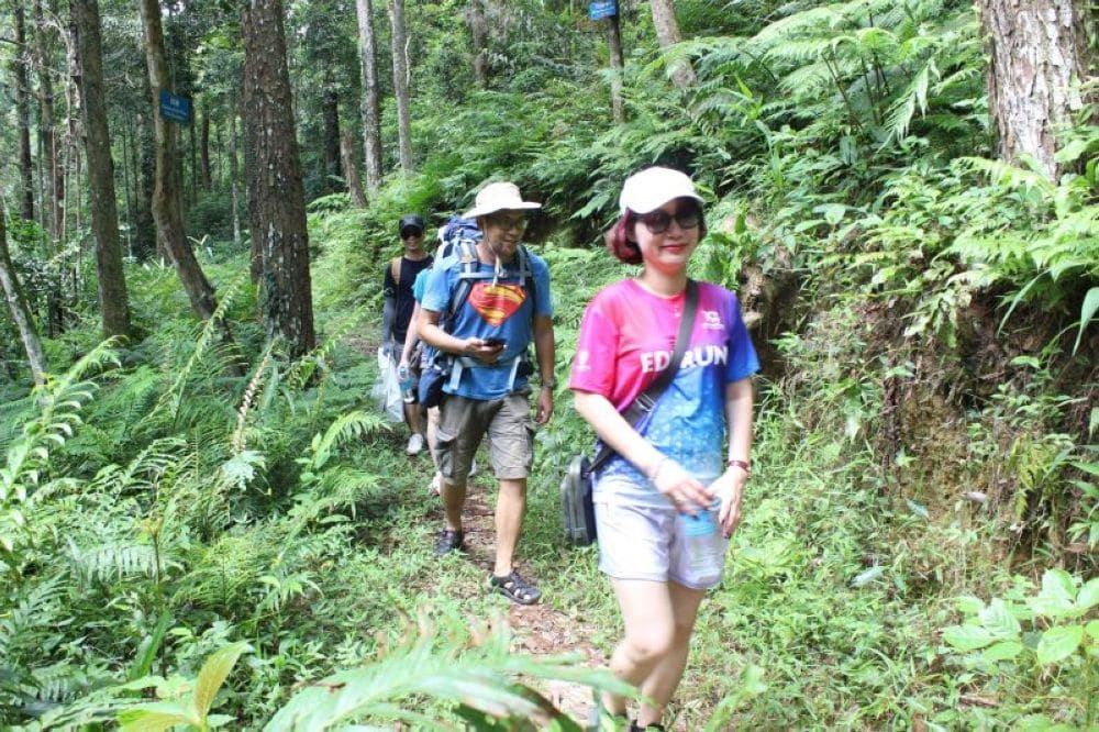 Trekking ở vườn quốc gia Tam Đảo